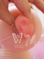 WM DOLL ラブドール 148cm Lカップ WM355 - 画像 (17)