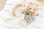 WM DOLL ラブドール 159cm アニメ 猫耳 Y007 - 画像 (27)